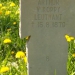La tombe du lieutenant von Koppy