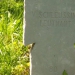 La tombe du lieutenant von Schleussing