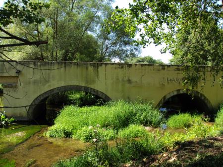 Le vieux pont