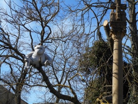 La planète des singes