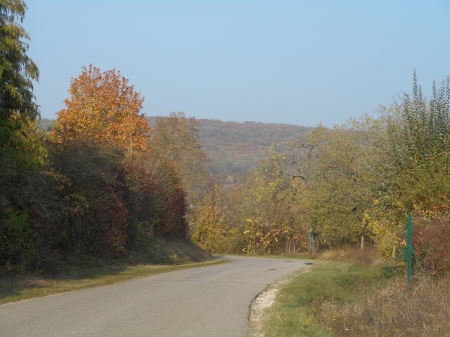 Le chemin de Viéville