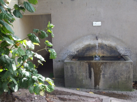 La fontaine de la Place des tilleuls