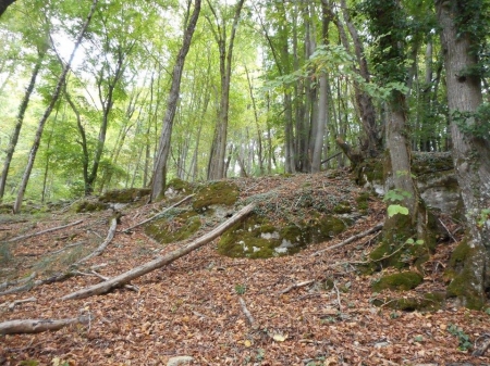 Les roches des Côtes de Moselle