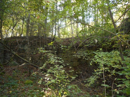 Le creux du bois du Ban Saint-Martin