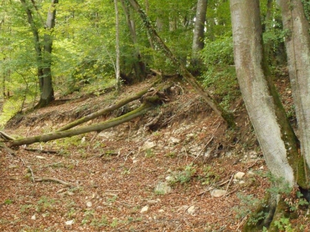 Un paysage accidenté