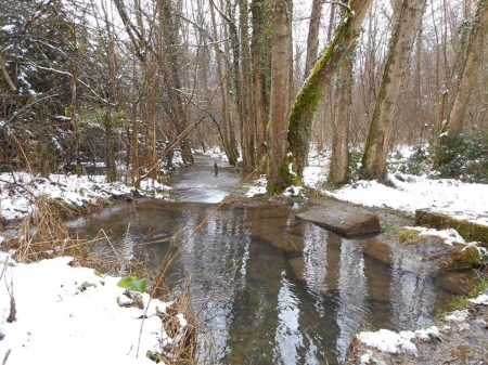 Le ruisseau de Beaume-Haie