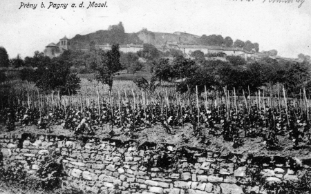 Une terre de vignobles