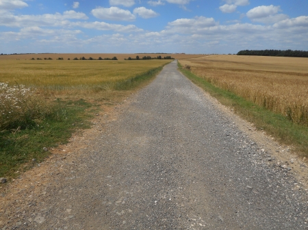 Le chemin de la Grande Sauhaie