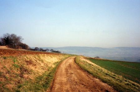 Chemin de Crau