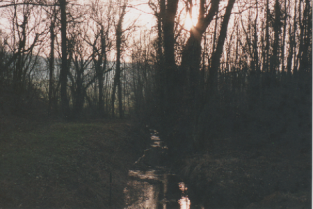 Le ruisseau de Moulon