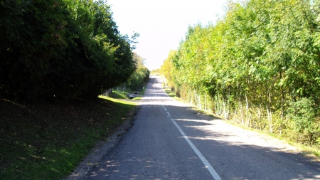 Le chemin de la route de Thiaucourt