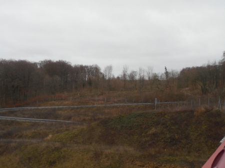 95 hectares de forêt rasés