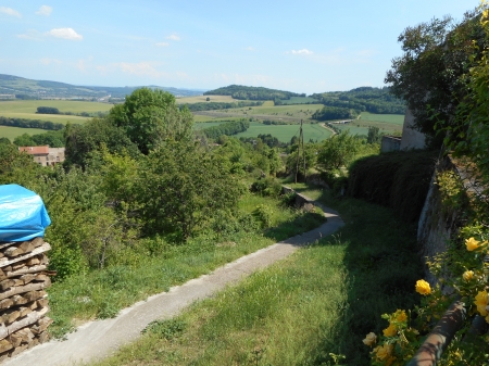 Le chemin du moulin.