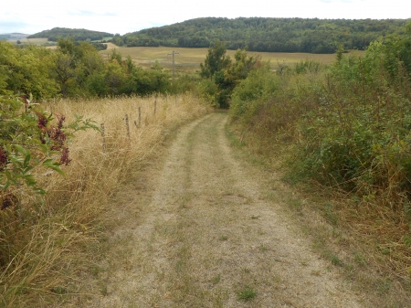 Le chemin des chamelles