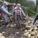 Restauration d'un mur en pierre sèche