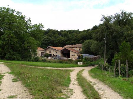 Sainte-Marie saccagée par les Suédois