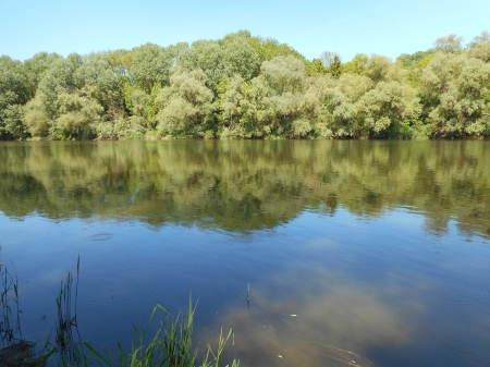 La Moselle sauvage