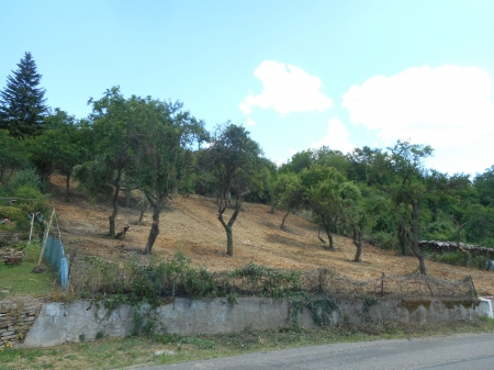 Un verger au village